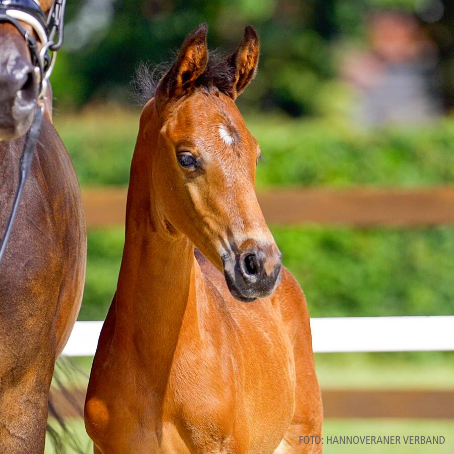 2 image