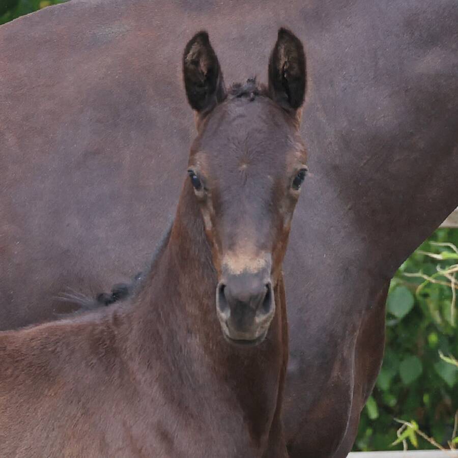 7 image