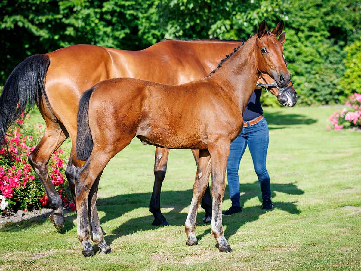 9 image