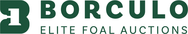 Borculo Auctions logo