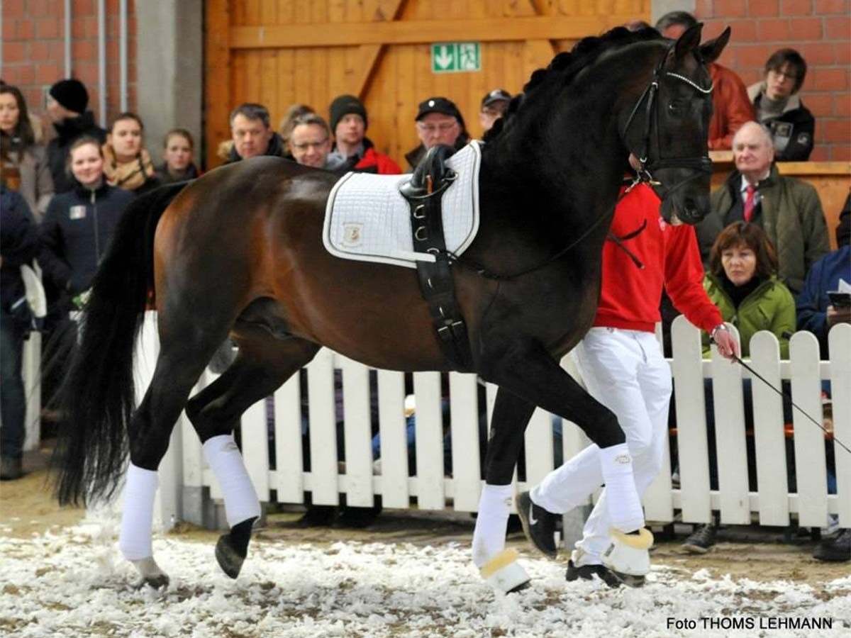 110 image