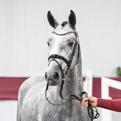 I'm Special de Muze / Colman — Mare · 2y