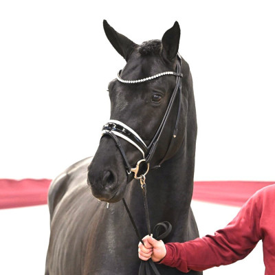 Secret / Finest — Mare · 2y