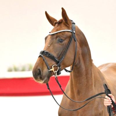 Va Bene / Quaterback — Mare · 3y