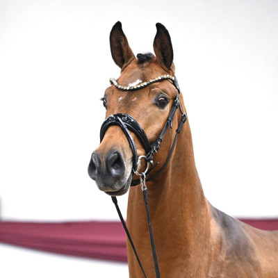 Velvedere / Goldberg — Mare · 2y
