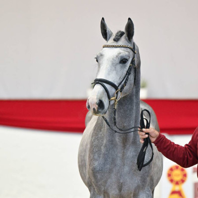 Cellestial / I do it — Mare · 2y