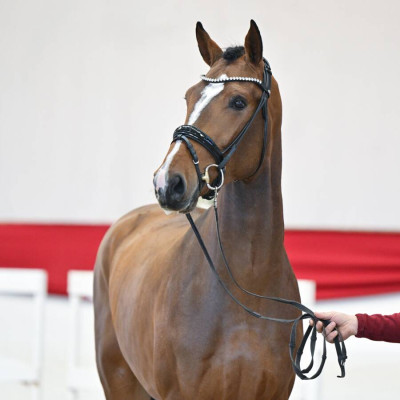 Luigi D'Eclipse / Carembar de Muze — Mare · 2y