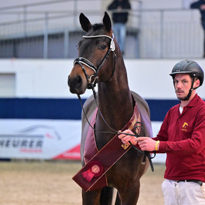 Diamond First / Millennium — Mare · 2y