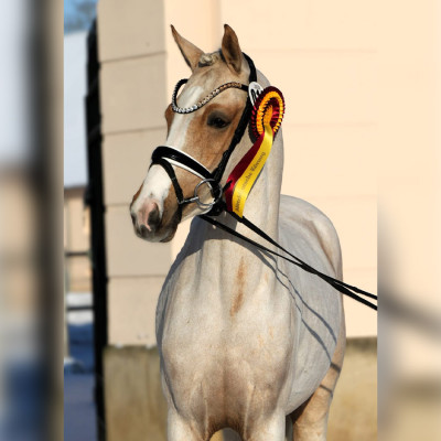 RPSL Never Ending Story — Mare · 3y