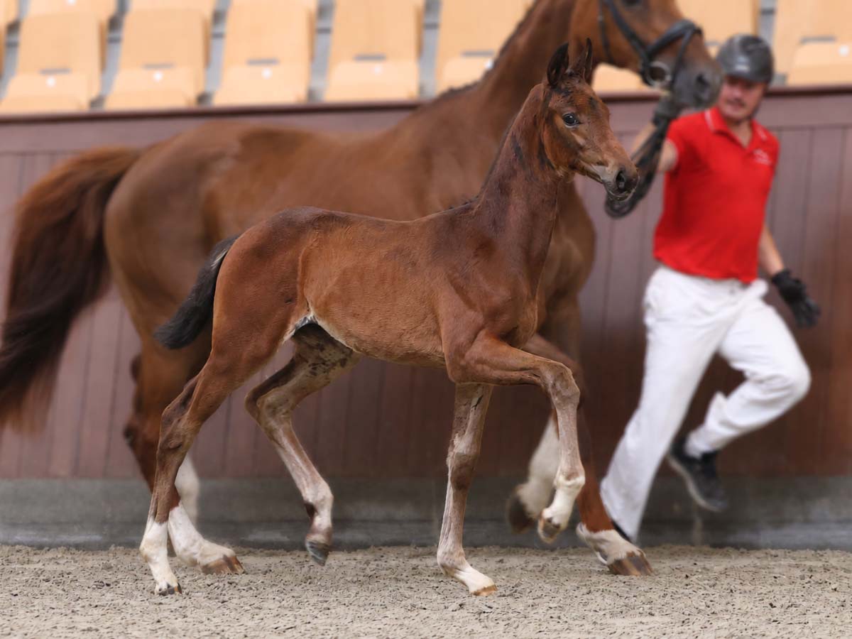 9 image
