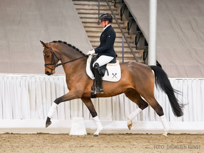 Juvena — Hanoverian · Mare · 5y