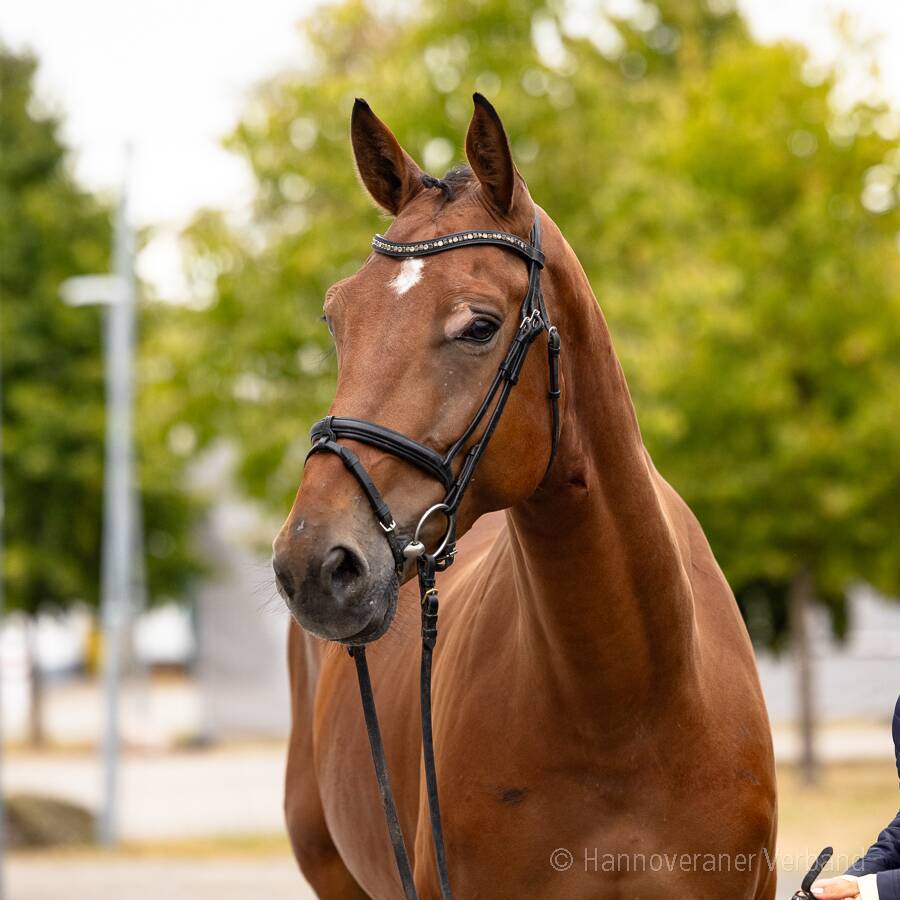 79 image