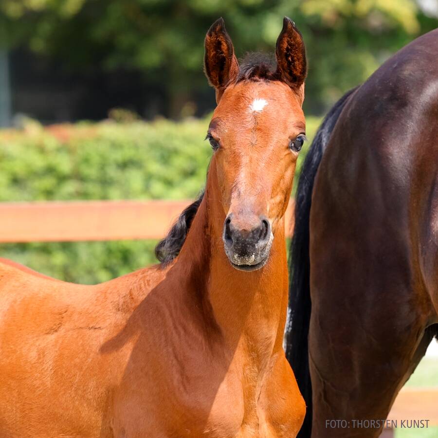 94 image