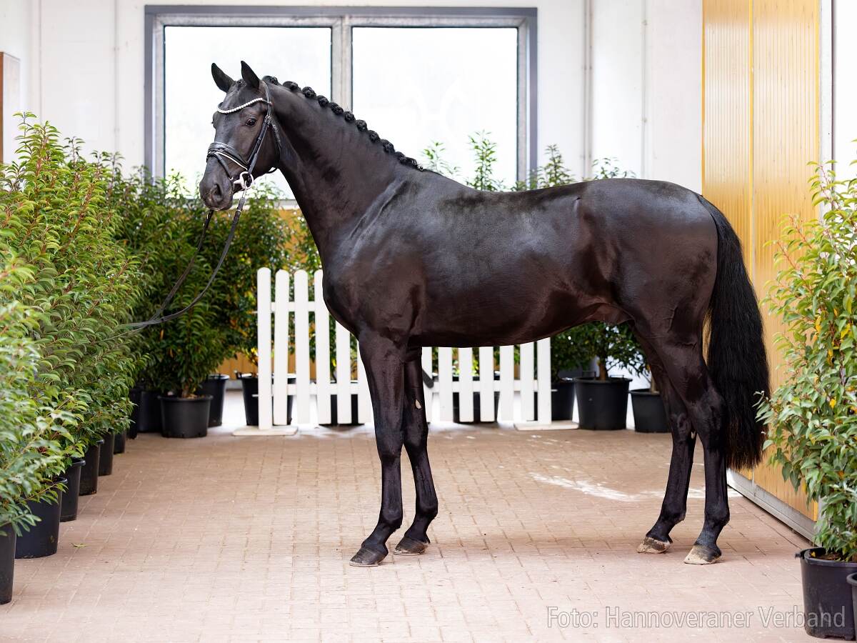 158 image