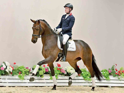 Breanna AK — OLDBG · Stallion · 4y