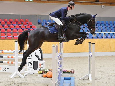 Comme Il Saute — OLDBG · Gelding · 5y