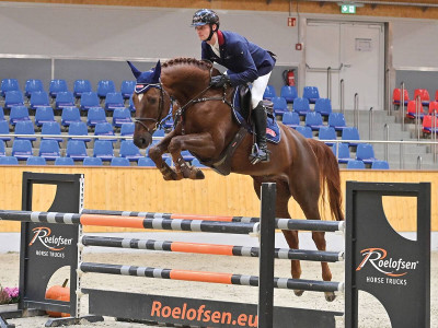 Don Pion — OLDBG · Gelding · 6y