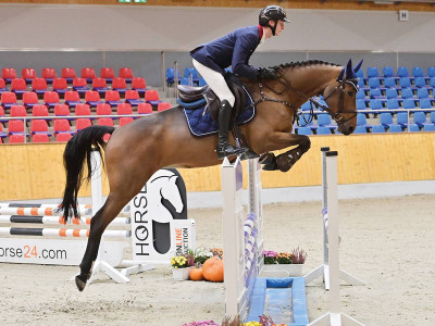 Molly Di Baggio — OLDBG · Stallion · 4y