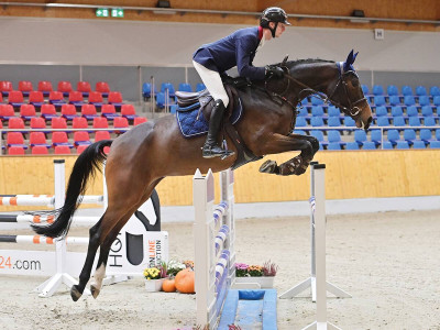 Princess Mantha — OLDBG · Stallion · 5y