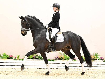 Moriano — Mare · 4y