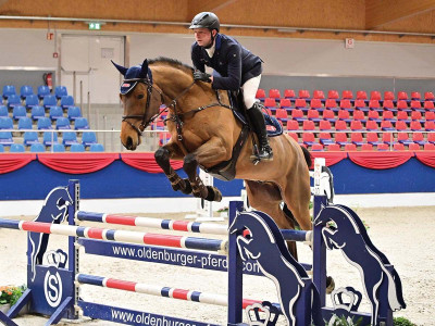 Aragorn Z — Zangersheide Reitpferd · Gelding · 6y