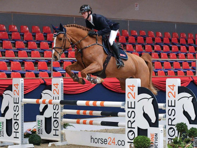 Virginia B Z — Stallion · 6y