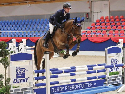 Crafter — Gelding · 5y