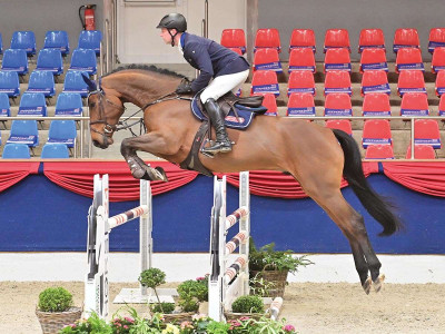 Bakino — Gelding · 5y