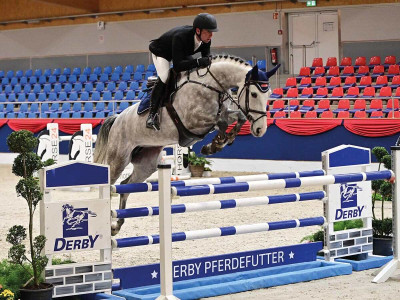 Bahira — Stallion · 6y