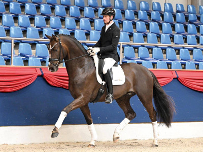 Bonds Royal — Mare · 3y