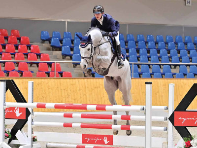 Celtic — OLDBG · Gelding · 5y