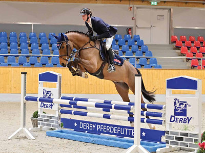 Dia Balou L — OLDBG · Gelding · 4y