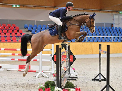 Otoki — OLDBG · Gelding · 7y