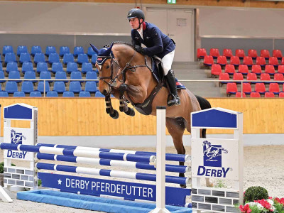 Casall's Girl — OLDBG · Stallion · 6y