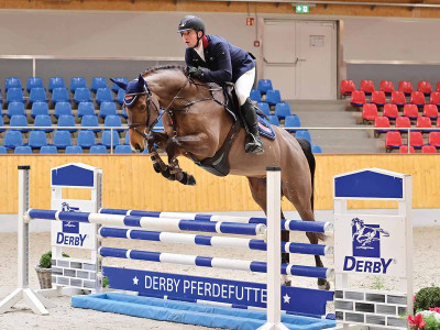 Chalouna — OLDBG · Stallion · 6y