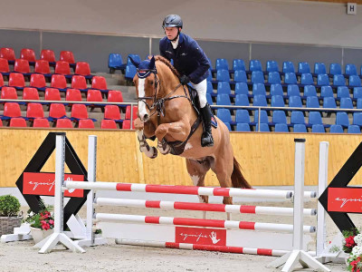 Hashtag — OLDBG · Gelding · 5y