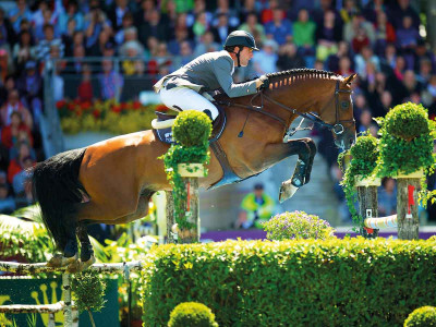 Catanga — OLDBG · Stallion · 1y