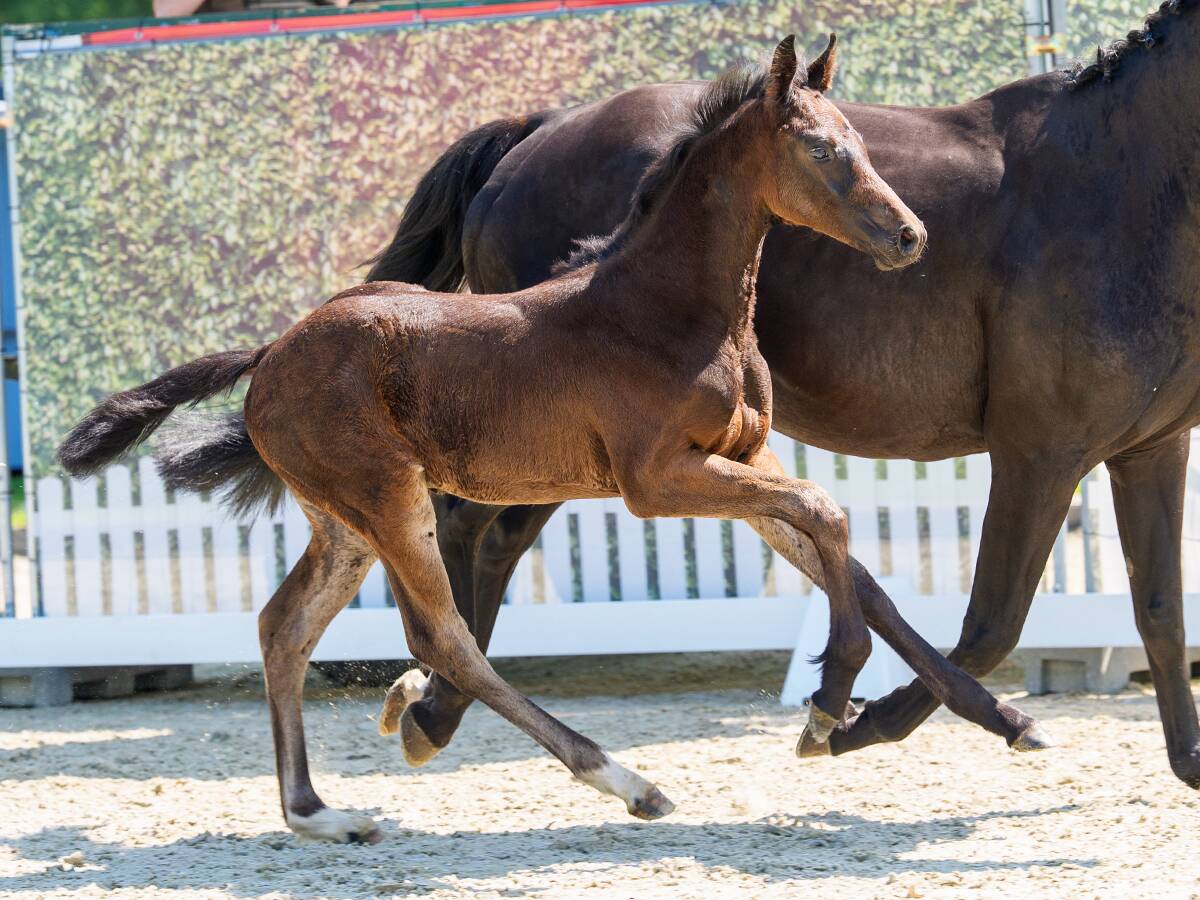 10 image