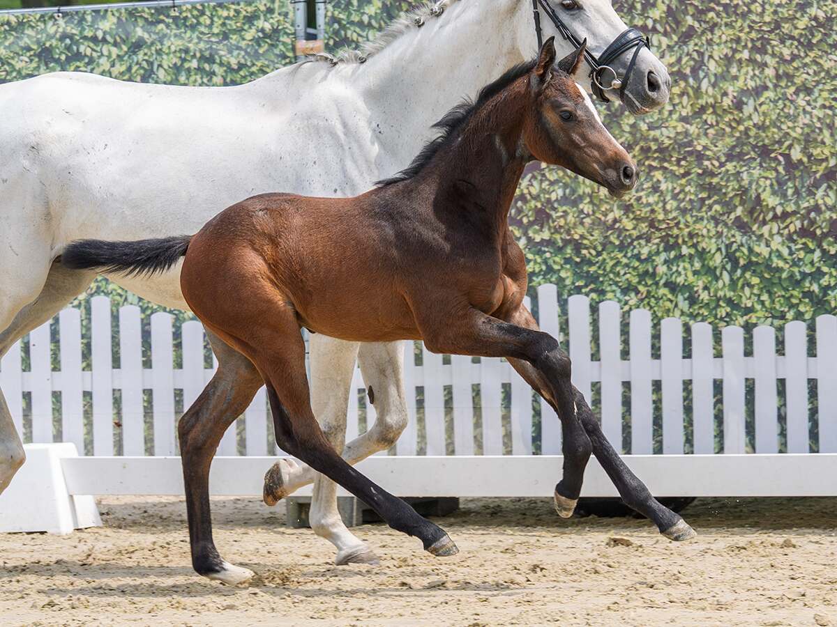 175 image