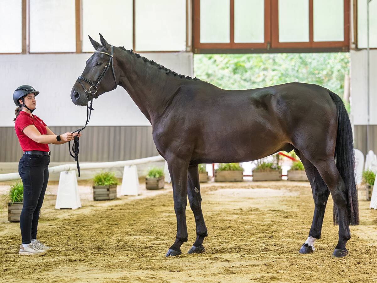 67 image