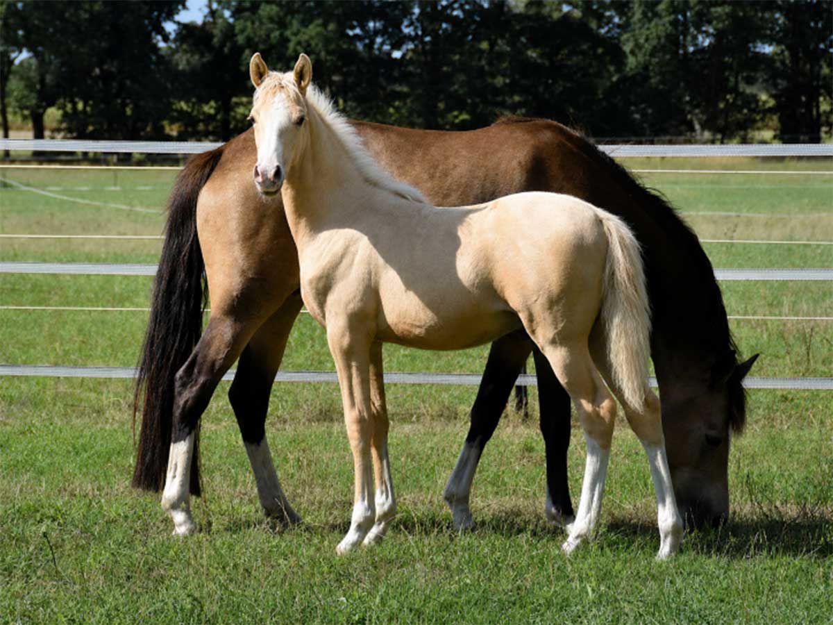 22 image