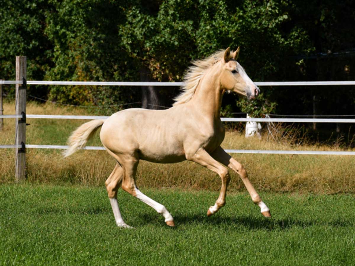 22 image