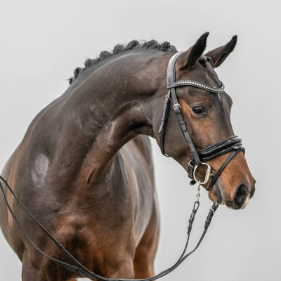 Neverland WE / Going East — Mare · 2y