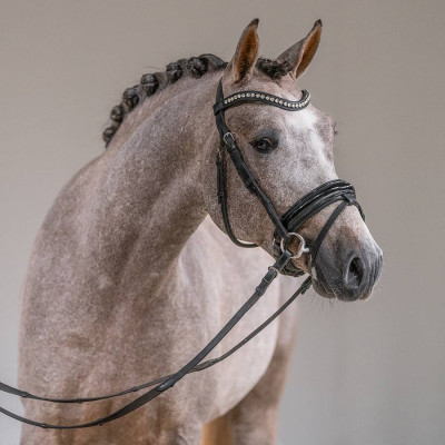 Little Milton / Potter — Deutsches Reitpony · Mare · 2y