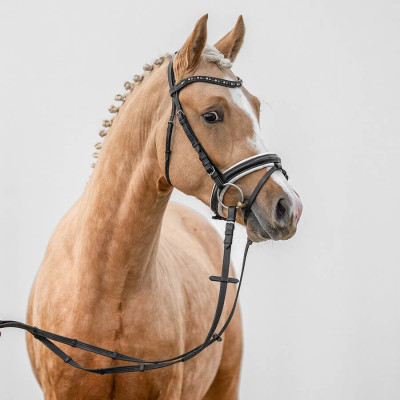 Gründleinshofs Gipfelstürmer / Dip BEAT — Deutsches Reitpony · Mare · 2y