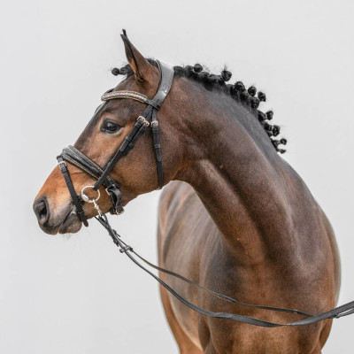 Golden Grey NRW / Donauwind — Deutsches Reitpony · Mare · 2y