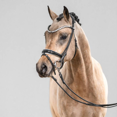 Gold Gelb / Der feine Lord AT — Deutsches Reitpony · Mare · 2y
