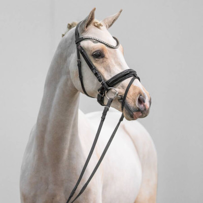 Dating AT NRW / Danny Gold — Deutsches Reitpony · Mare · 2y