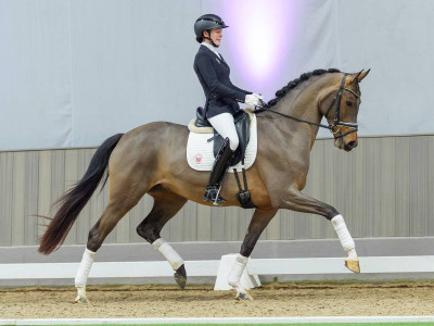En Vogue — Stallion · 4y